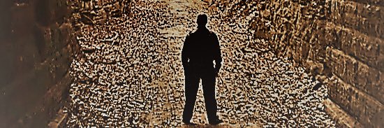timothylcarson's profile banner image