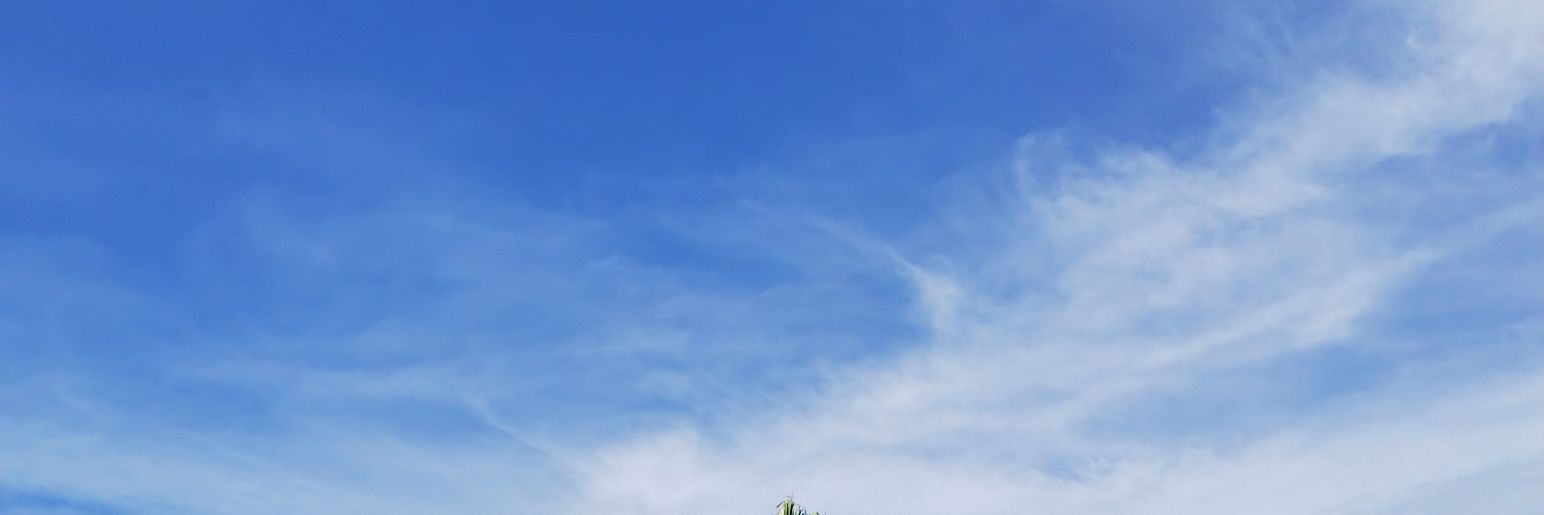 rinxm_n's profile banner image