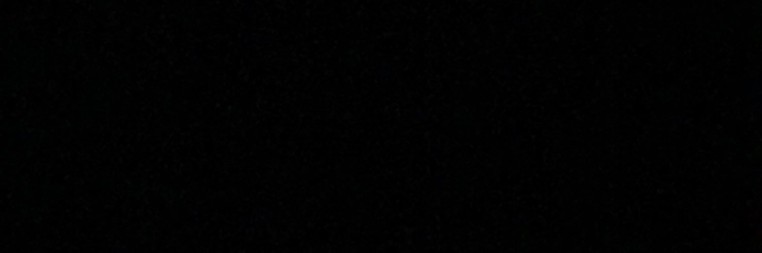 Sergio Biscuits banner