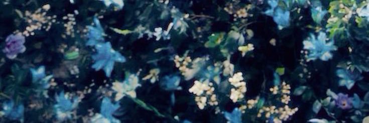 connie⁷ 🌙 banner