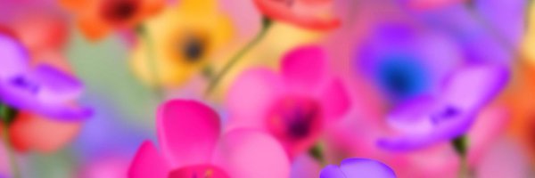 nancylew13 Profile Banner