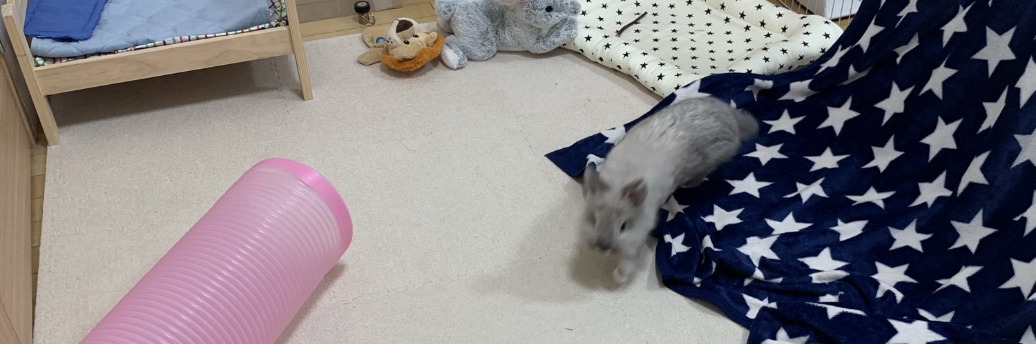 れおん🐰 banner