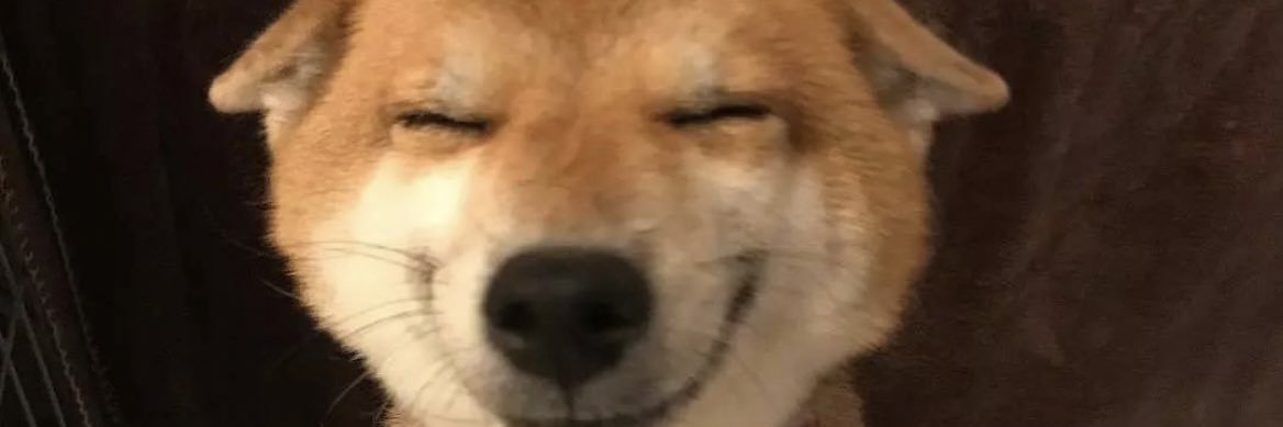 drizhg's profile banner image