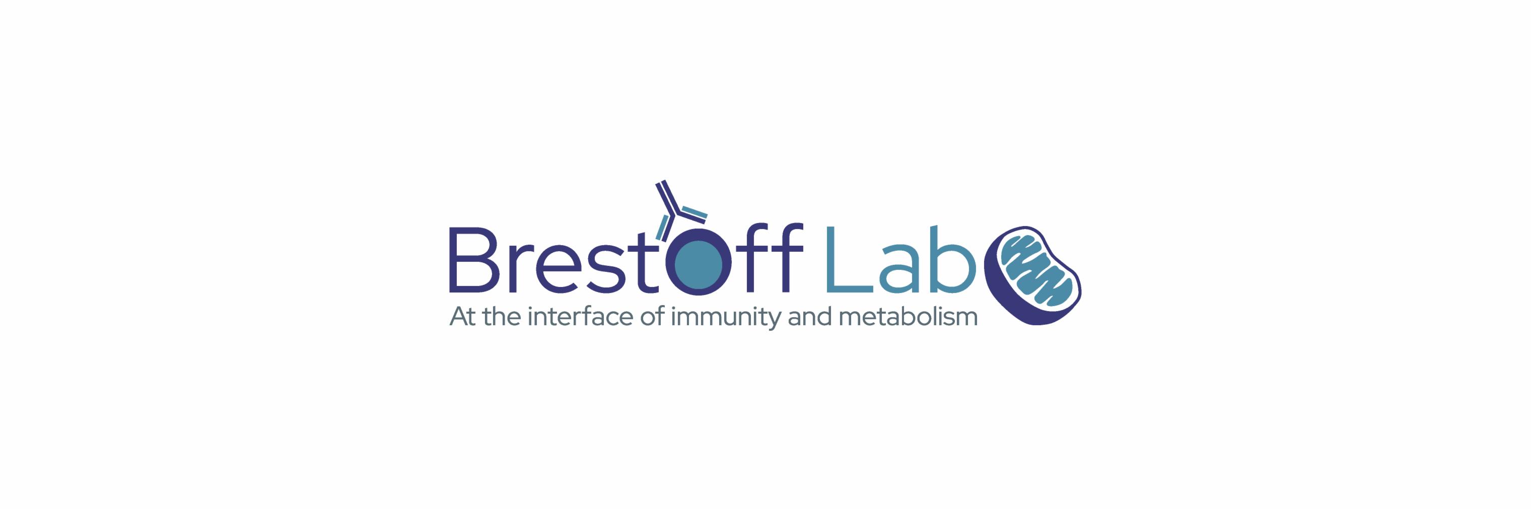 Jon Brestoff's banner