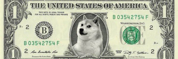 DOGE banner