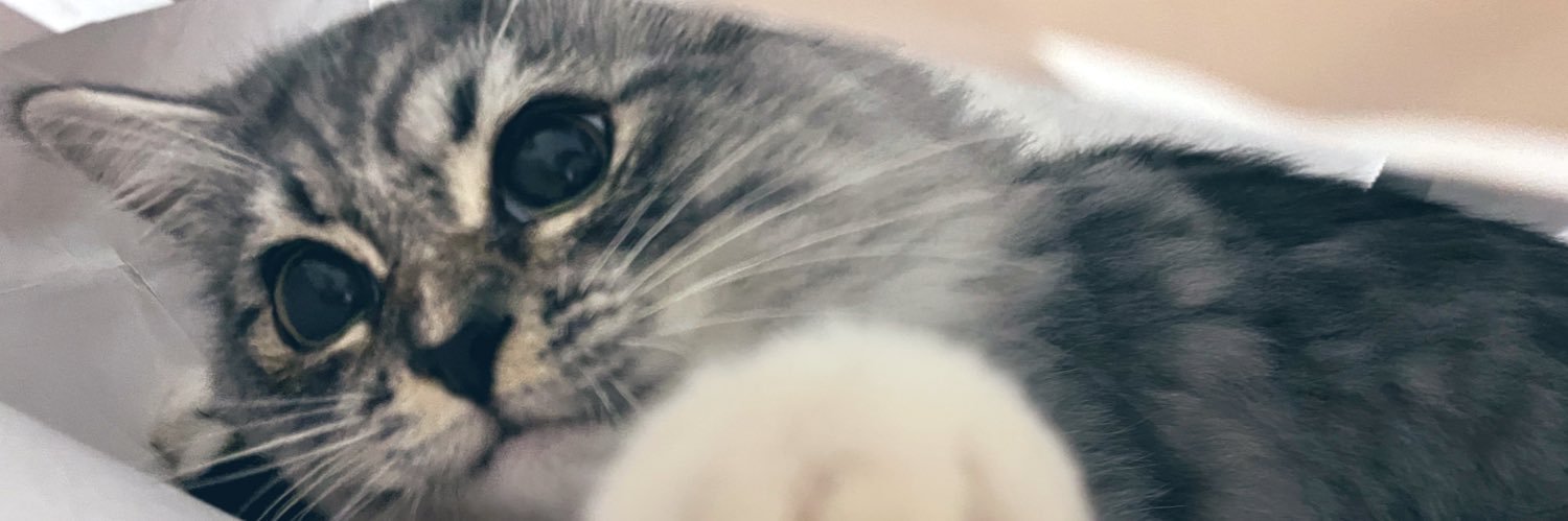 gu_milk's profile banner image