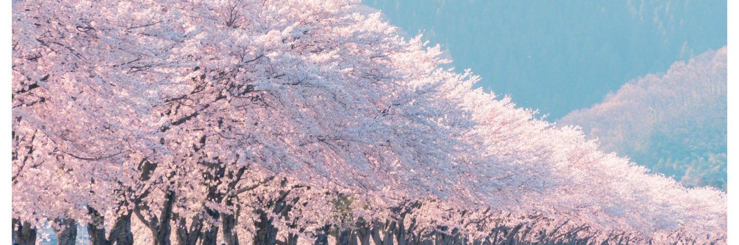 1203coti's profile banner image