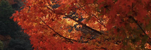 KyosukeYakabe Profile Banner