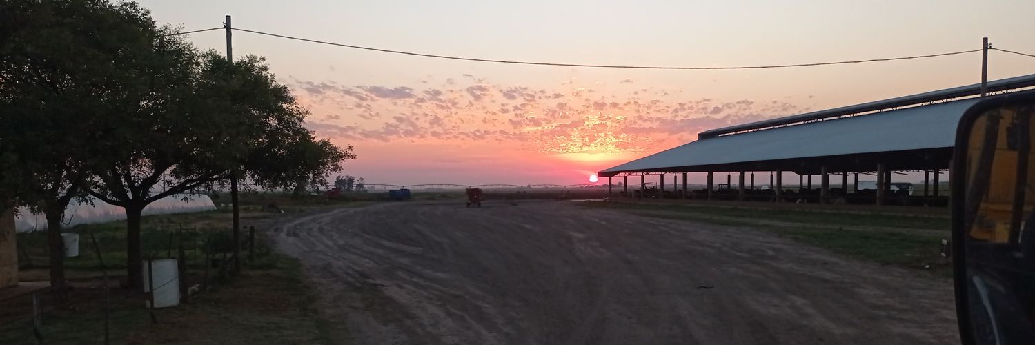 Vittorimarcos's profile banner image