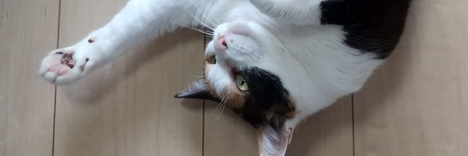 yyoshigow's profile banner image