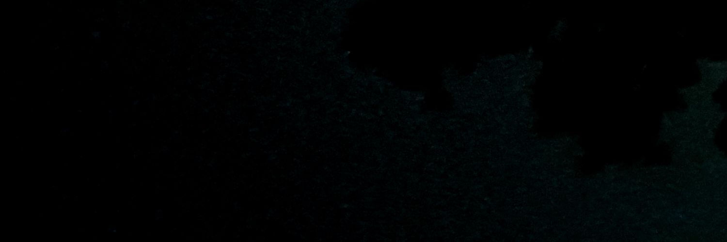 hotaruace's profile banner image