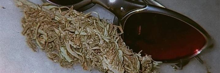anasinisgalli's profile banner image