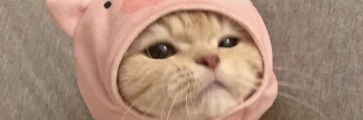 MDR / M8 Emma banner