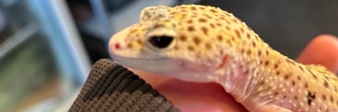 h8vtc2_'s profile banner image