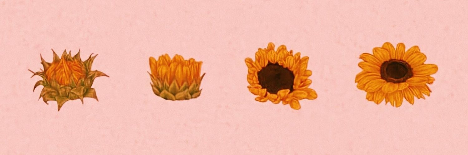 belenmo48's profile banner image