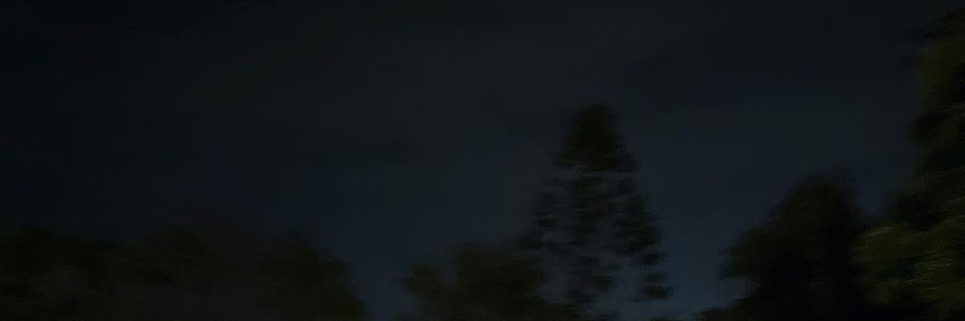 _renvibes's profile banner image