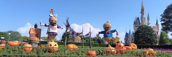 yosakoiwatch Profile Banner