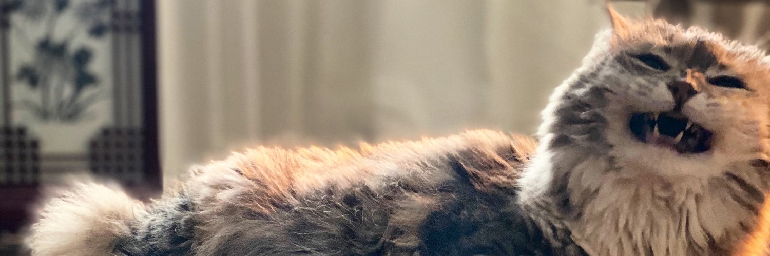 listyaelliott's profile banner image