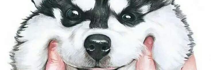 beeeeyaya's profile banner image