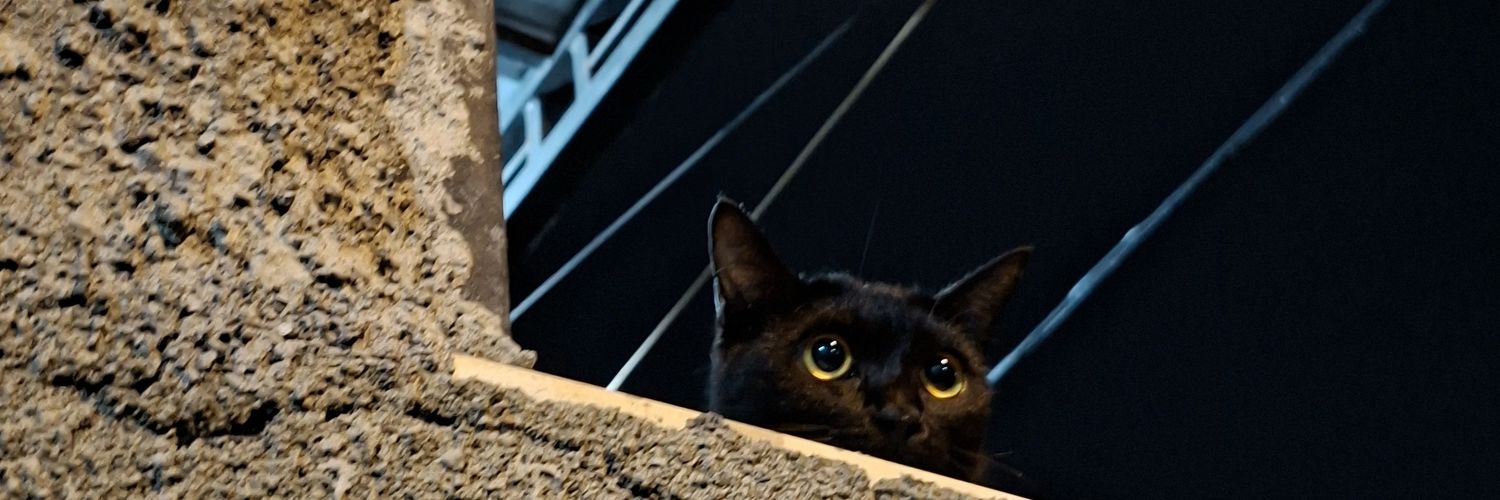 mercupada's profile banner image