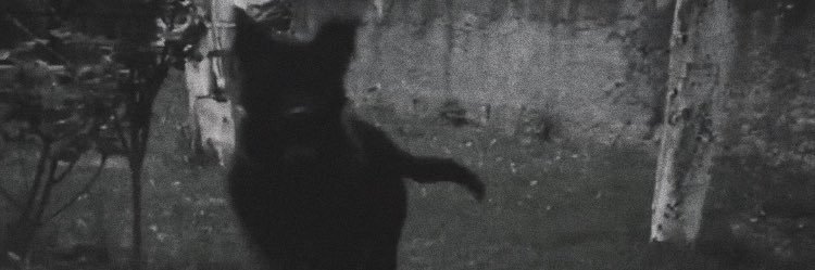 Undermoz banner