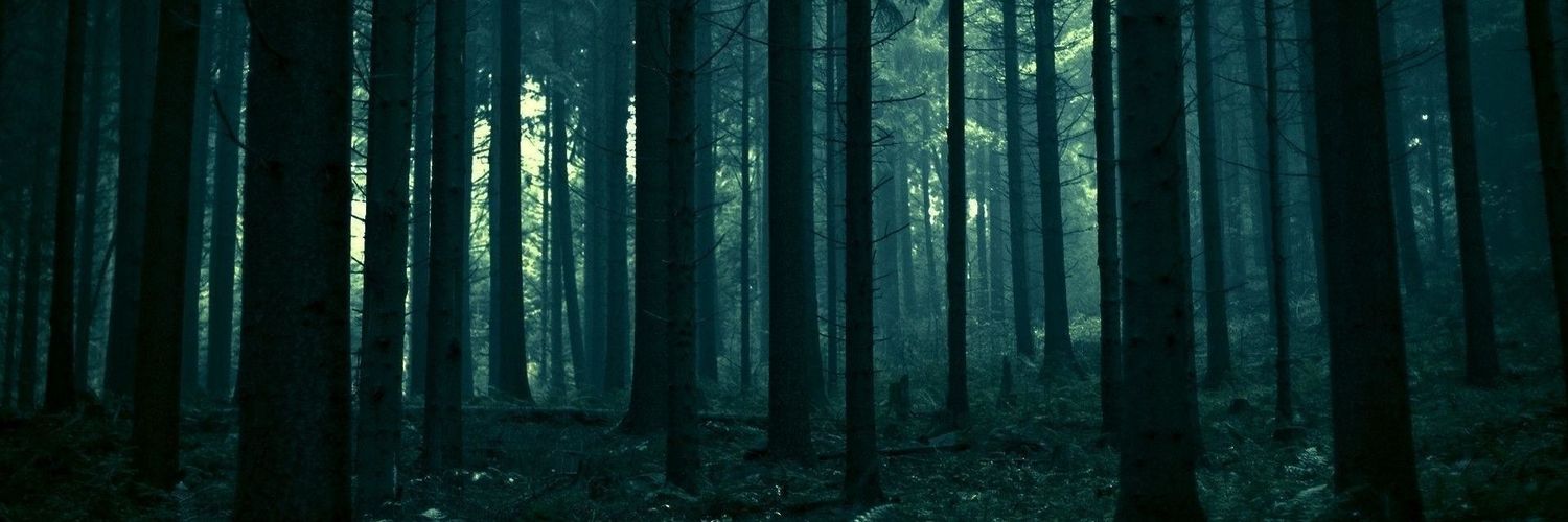 ProdigiousVance's profile banner image