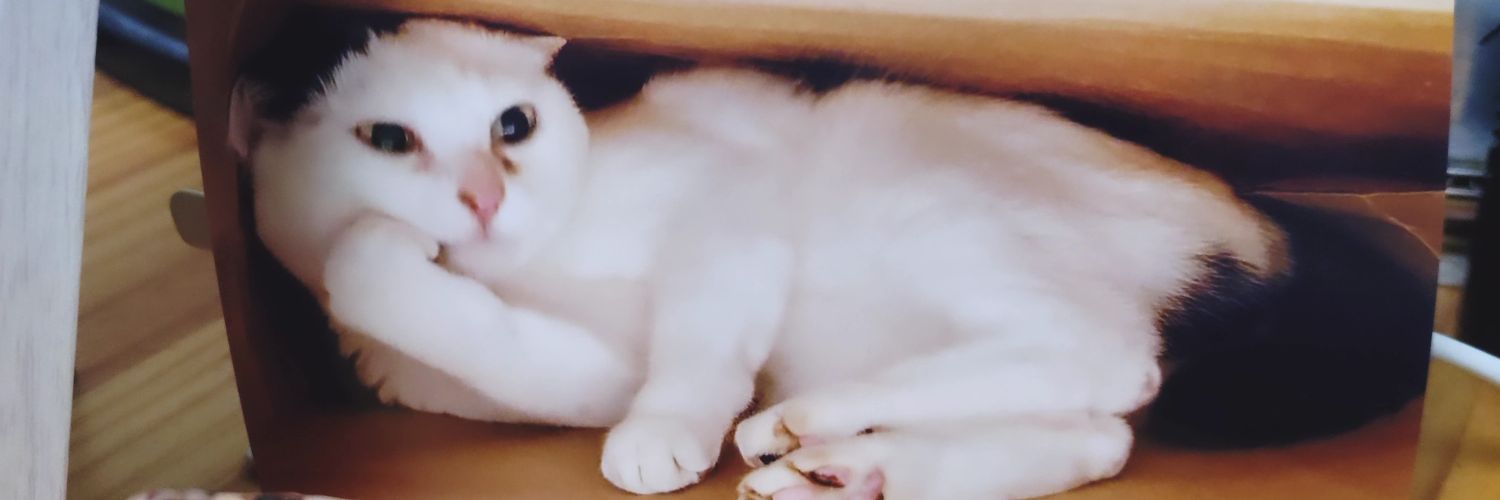 pecopecopop's profile banner image