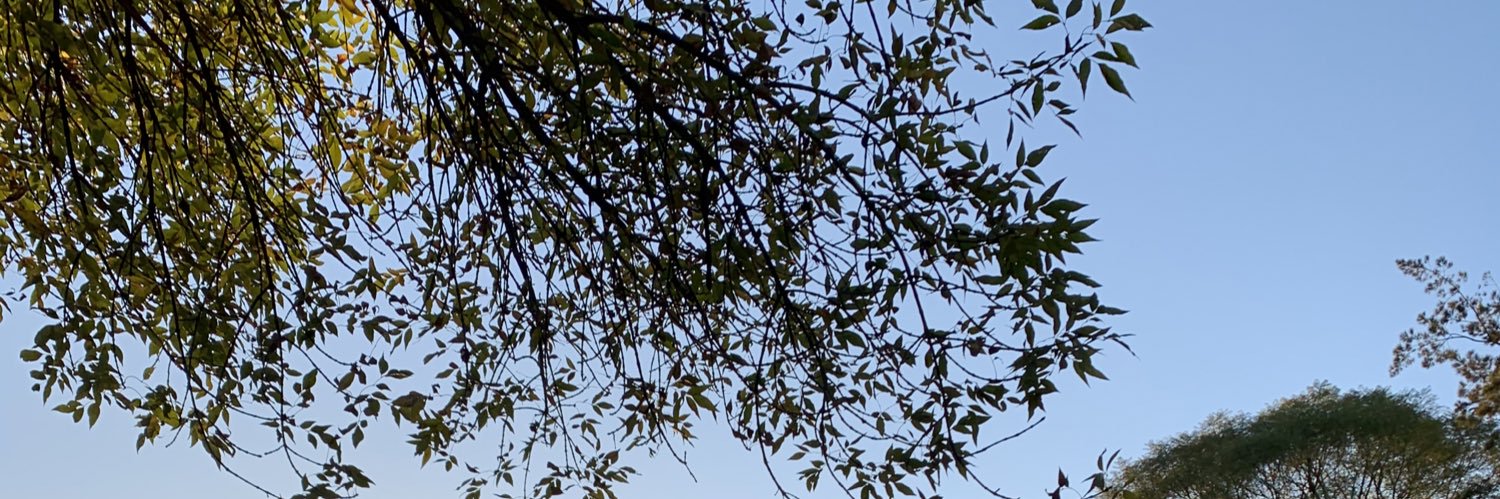 MDann_'s profile banner image