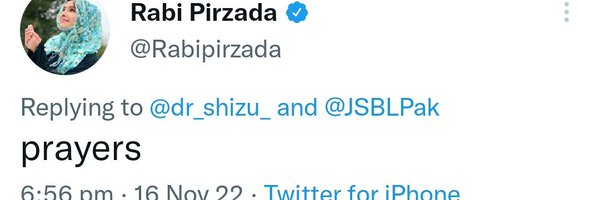 dr_shizu_ Profile Banner