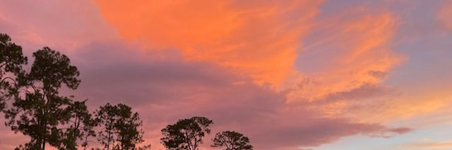 Esten Andrews banner