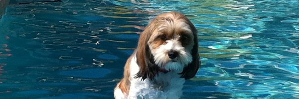 Tr3yWheeler Profile Banner