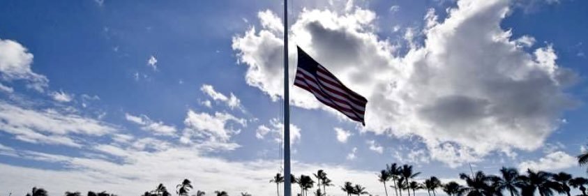 ForeverYoung2🥍🐕‍🦺🐈‍⬛🐇🦆🦀🐟🌊💙 banner