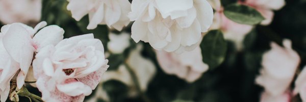 nianarri Profile Banner