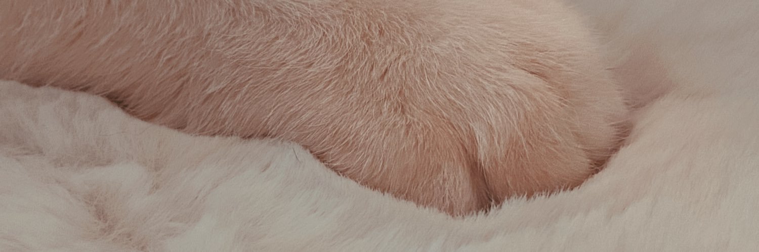 suu117's profile banner image