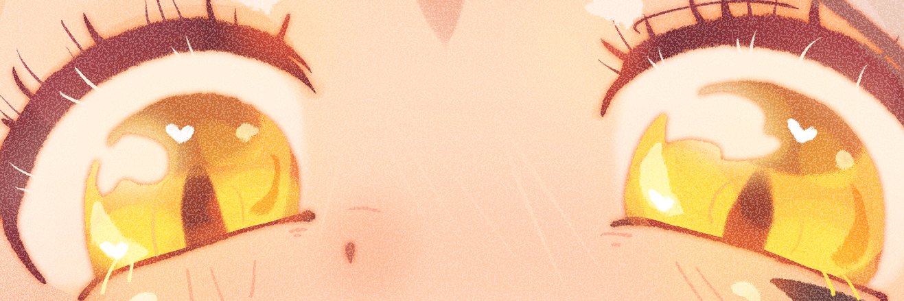 Sun cat☀️ banner