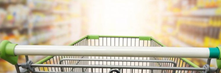 Fernanda Dalben banner