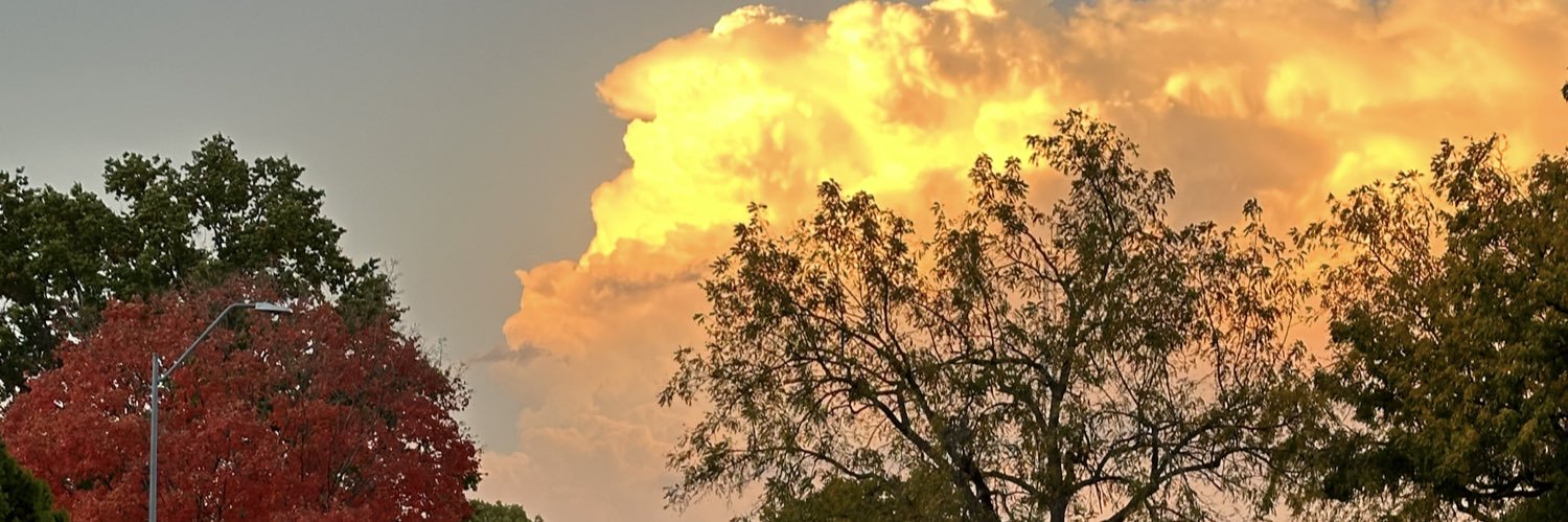 ErynRealmuto's profile banner image