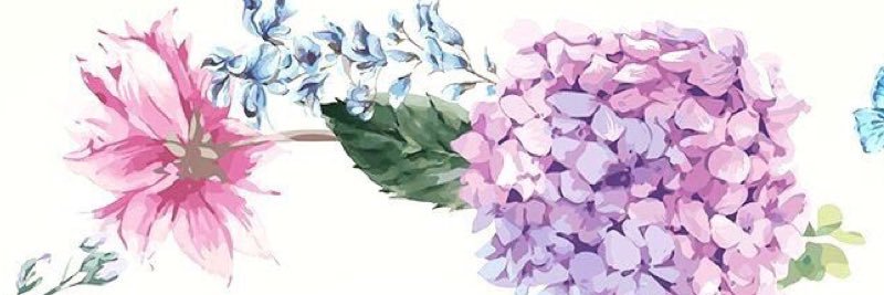 twalden9's profile banner image