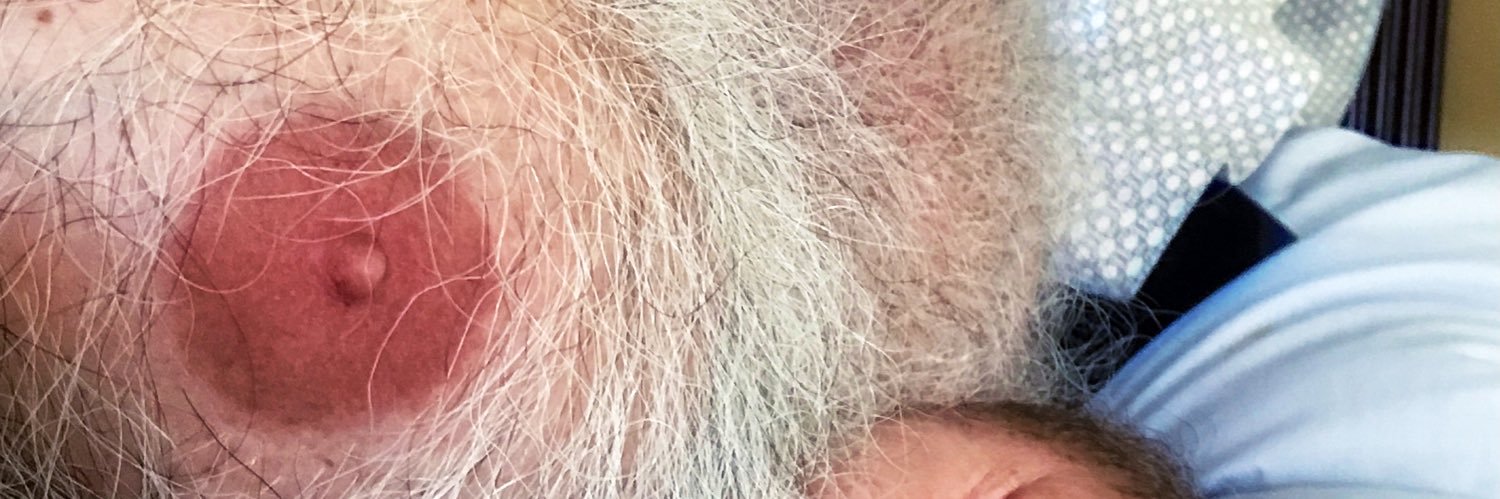 GOTSILVER 🐻‍❄️ banner