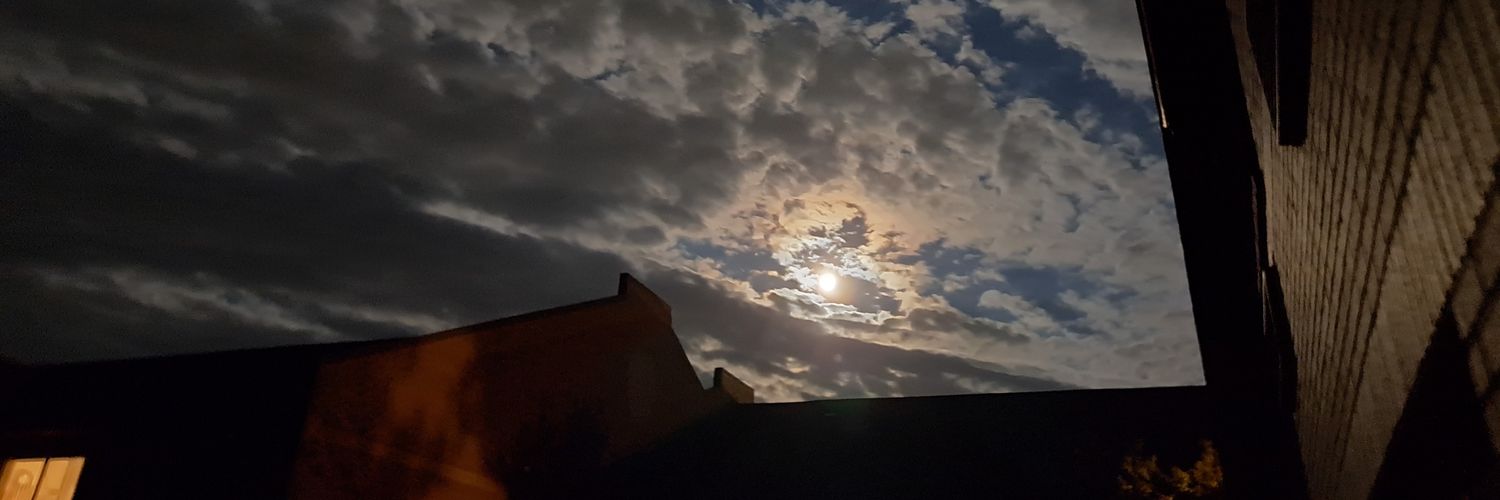 Lee Andrew Forman banner