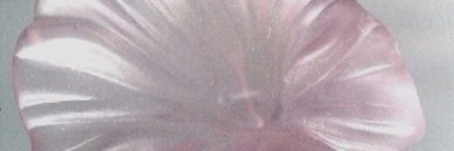 َ banner