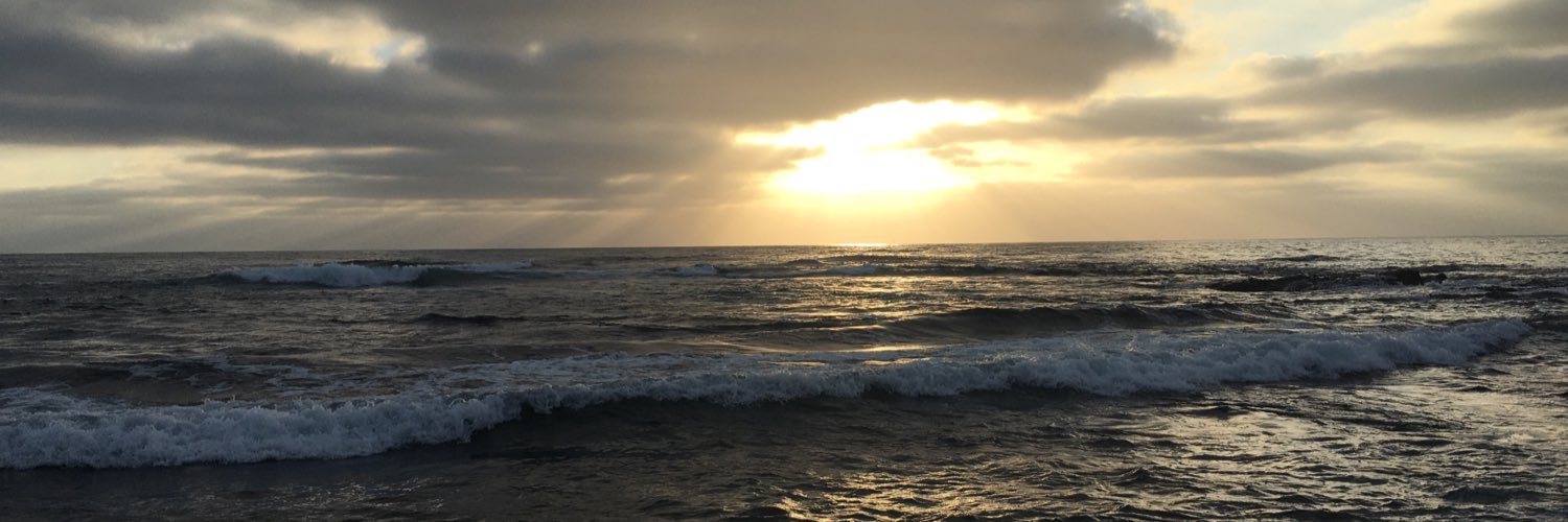 MissMeleea's profile banner image
