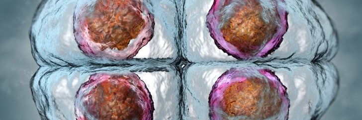 ReproductiveHealthAustralia banner