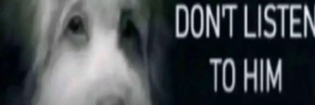 STEEL BALL RUN OUT banner