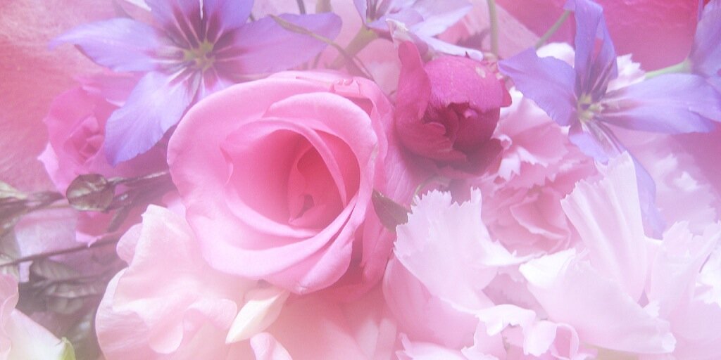 meia2nd's profile banner image