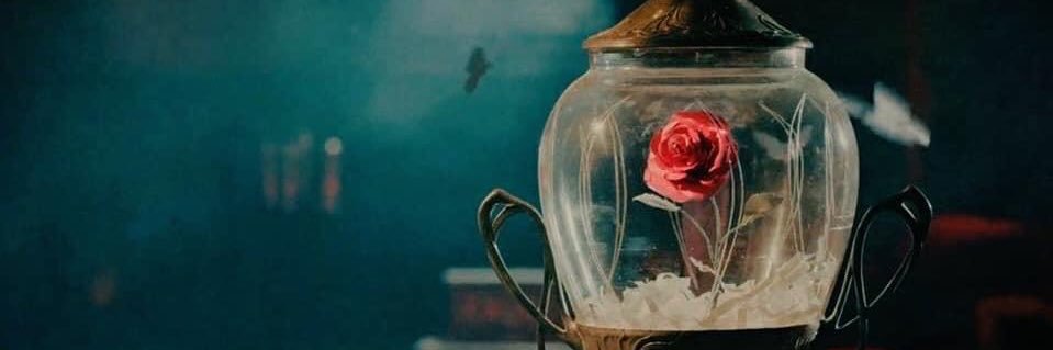 samia_raka's profile banner image