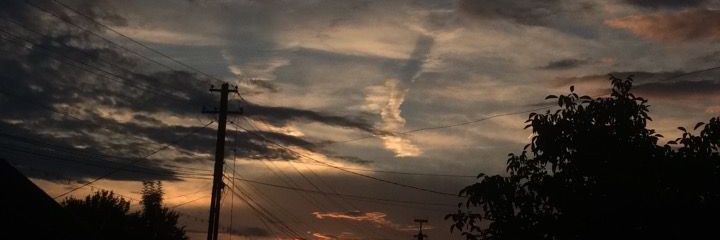 🦋KING: banner
