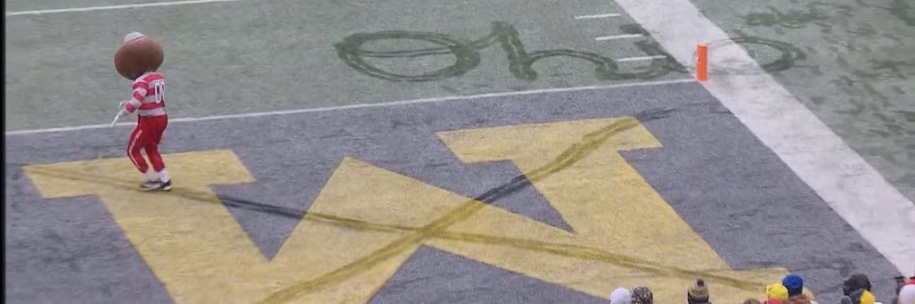 OSU owns ❌ichigan banner