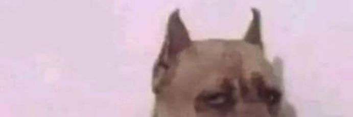 Shameless banner