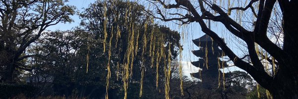 ShinnKikuchi Profile Banner